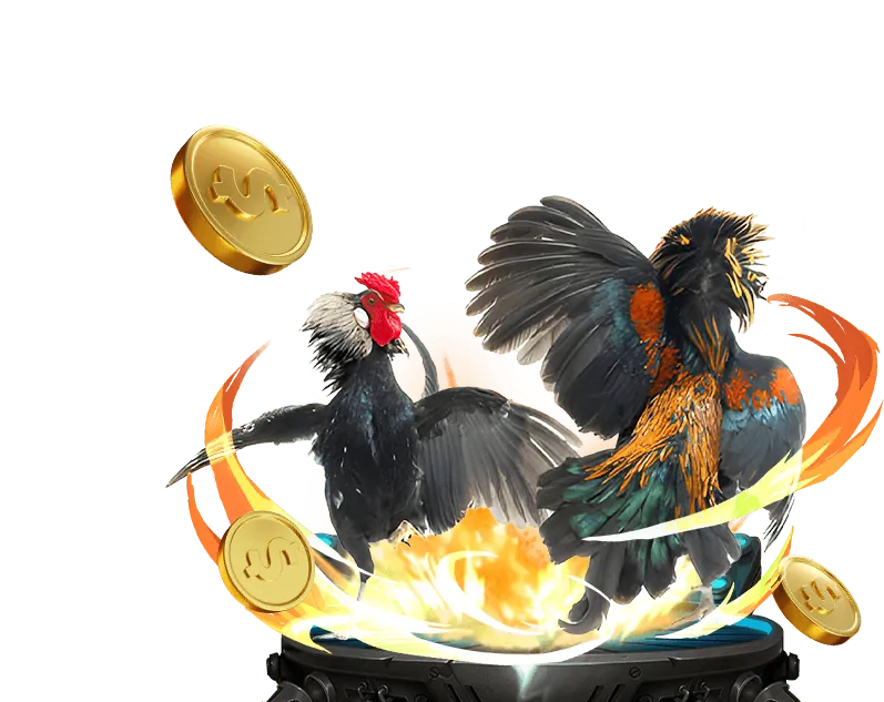 Cá cược bóng đá đá gacam67